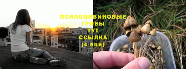 стафф Нефтекумск