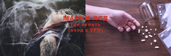 стафф Нефтекумск